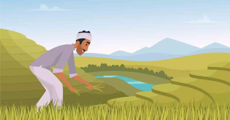farmer-plantation.jpg