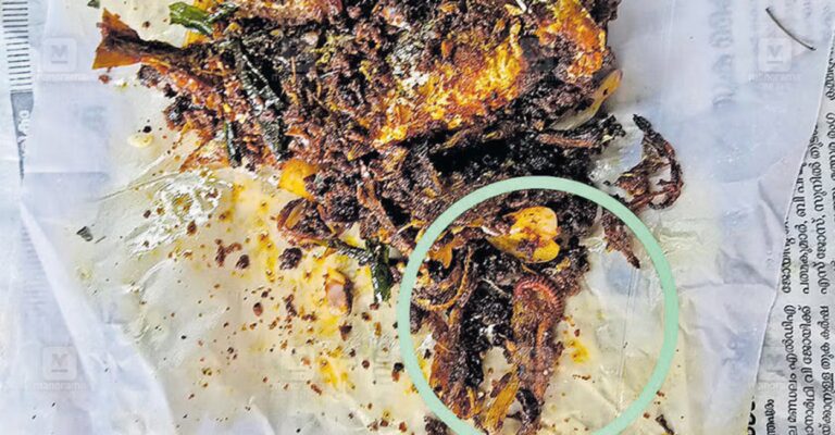 fish-fry-leech-found-1.jpg
