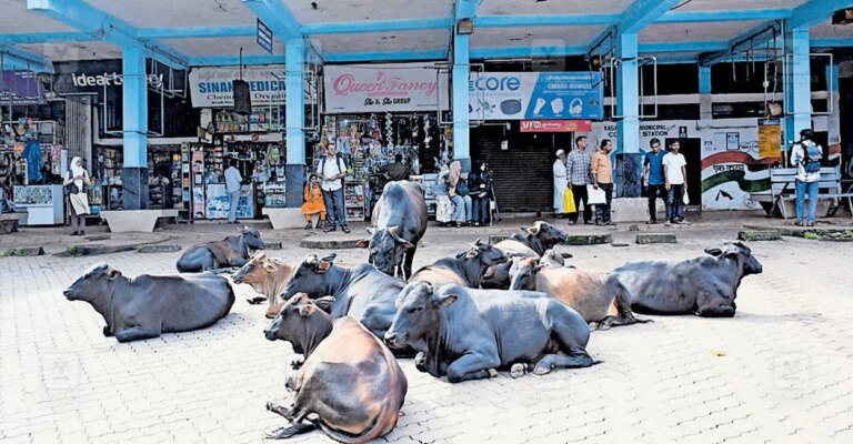 kasargod-private-bus-strike.jpg