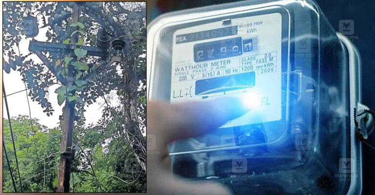 kidangoor-electricity-problem.jpg