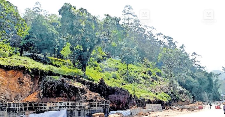 munnar-fissure.jpg