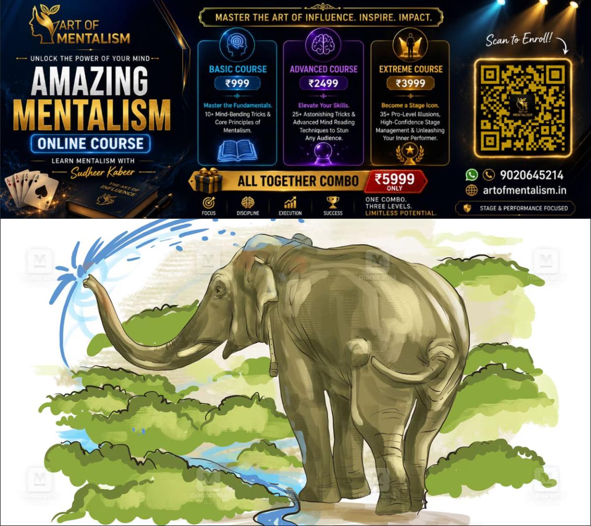 newskerala.net_1782898153_wild-lephant