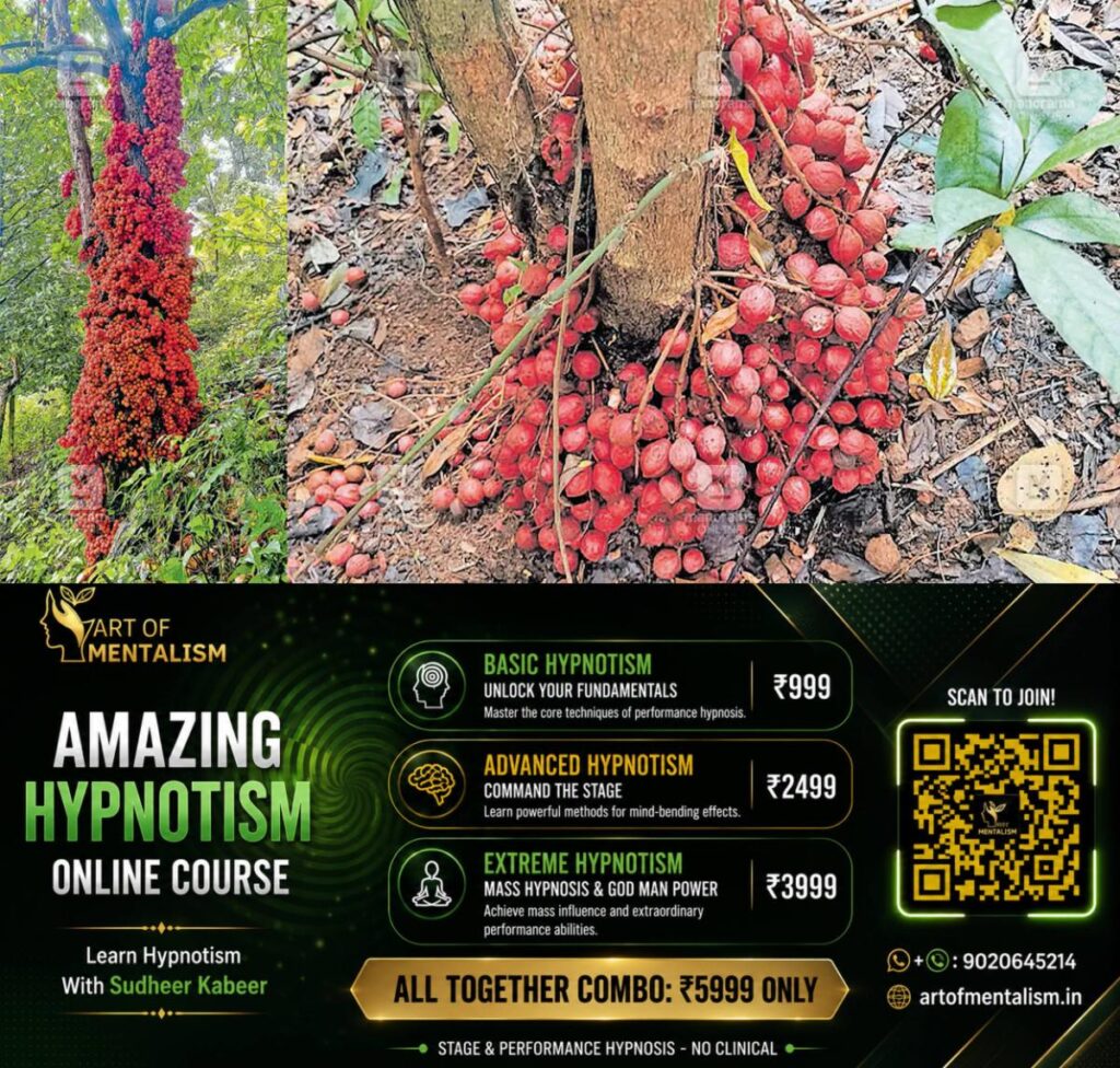 newskerala.net_1782960732_baccaurea-courtallensis-1