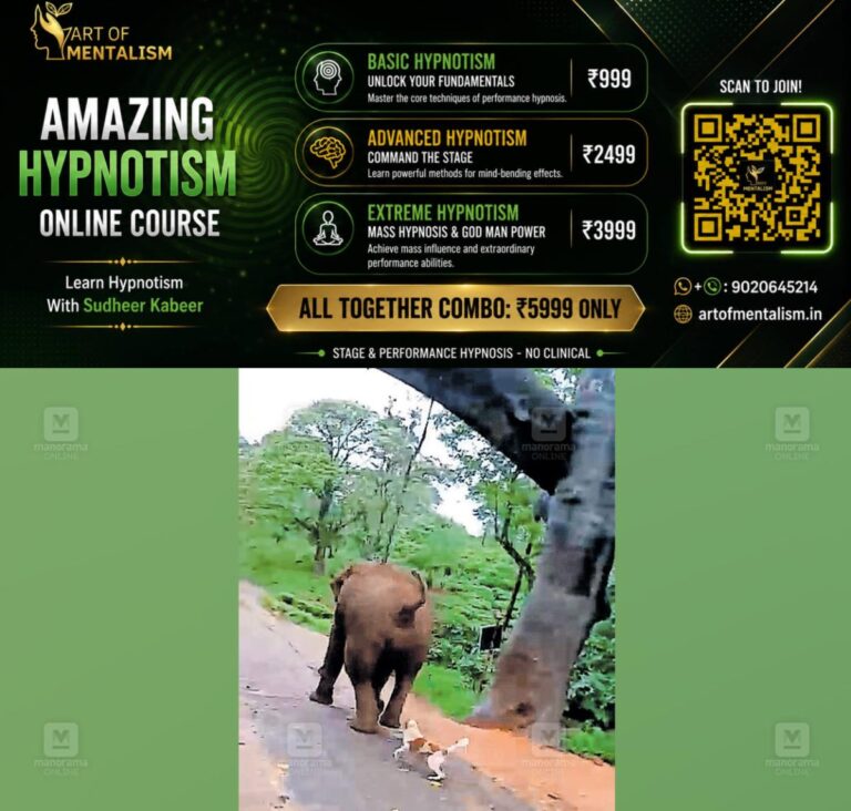 newskerala.net_1783055965_dog-scares-wild-elephant-1