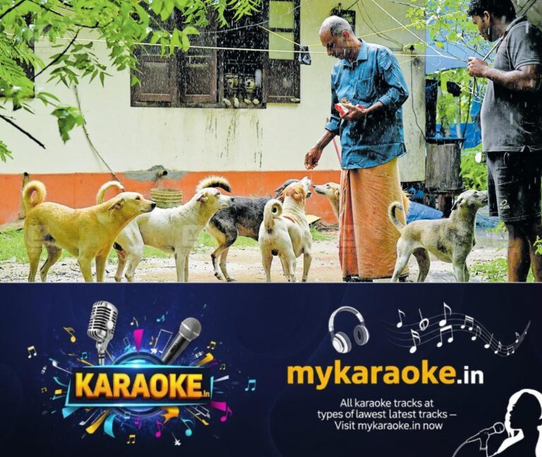 newskerala.net_1783164489_alappuzha-couple-rescues-stray-animals-1