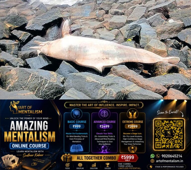 newskerala.net_1783228867_dead-dolphin-kozhikode-1