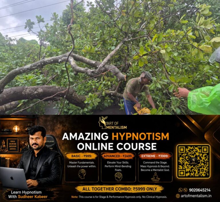 newskerala.net_1783332248_tree-fell-kannur