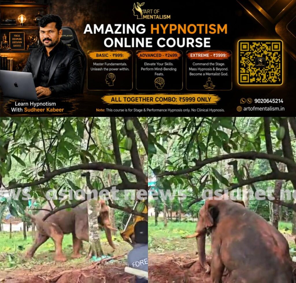 newskerala.net_1783421359_w-1280h-720format-jpgimgid-01kwy2tt5tqspvyb4q75896eaximgname-kuttampuzha-elephant-1783421036730