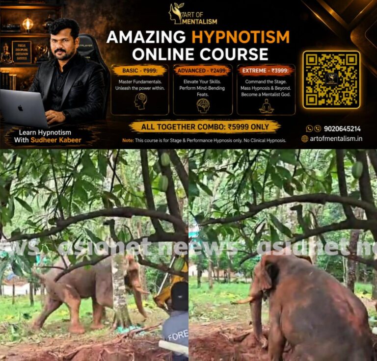 newskerala.net_1783421359_w-1280h-720format-jpgimgid-01kwy2tt5tqspvyb4q75896eaximgname-kuttampuzha-elephant-1783421036730