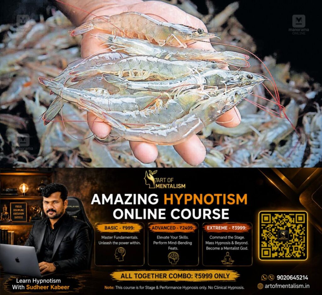 newskerala.net_1783428024_vannamei-shrimp-1