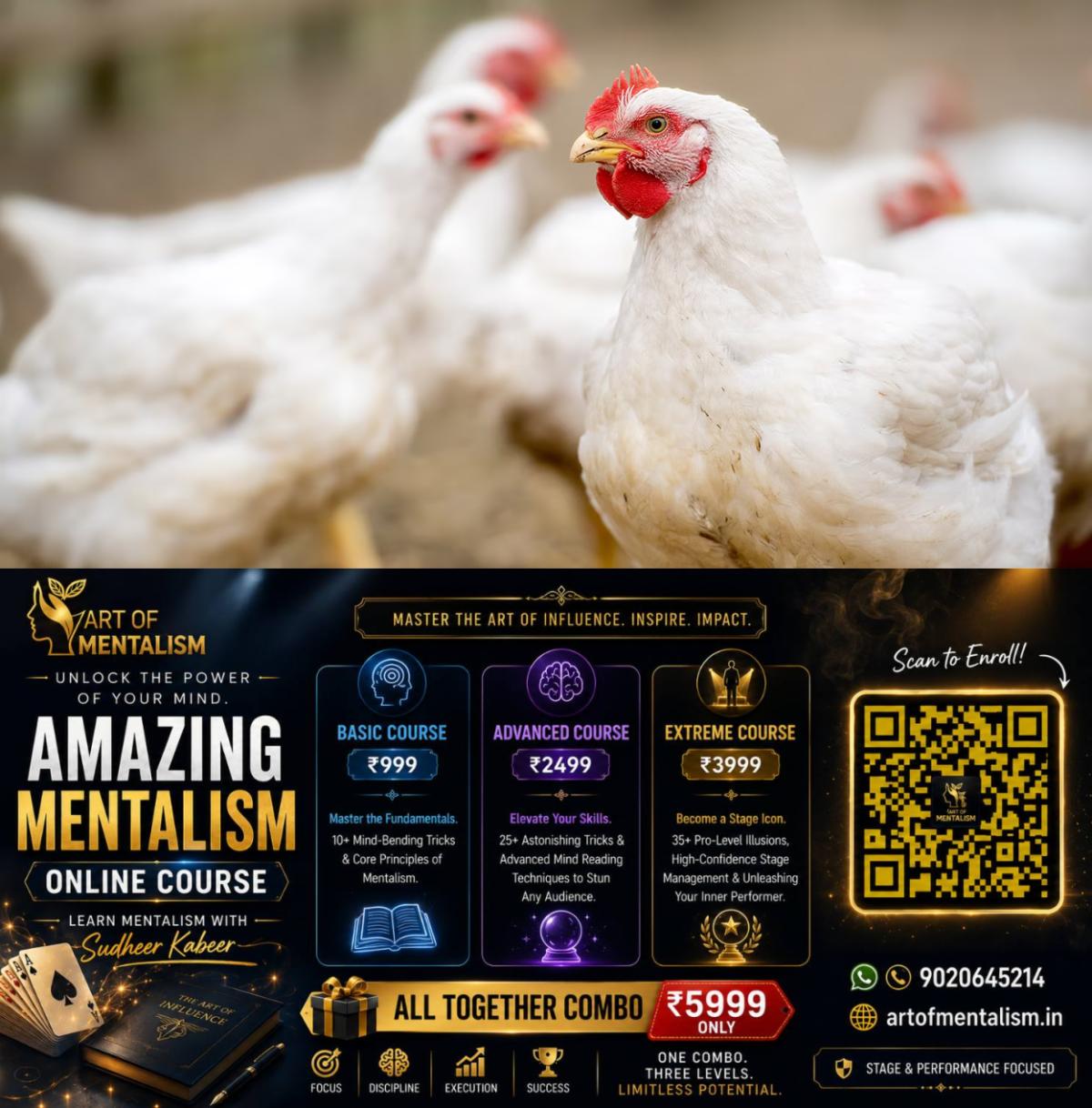 newskerala.net_1783572487_broiler-chicken