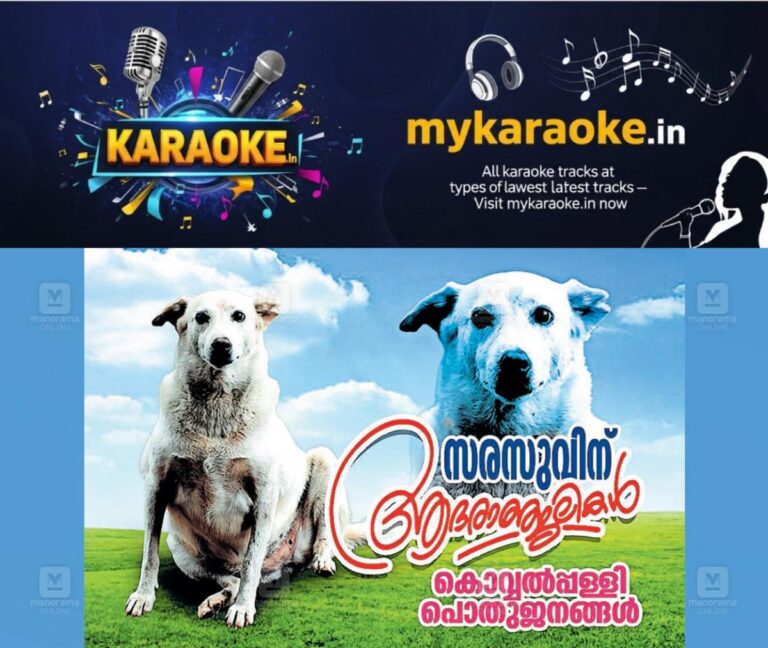 newskerala.net_1783655169_sarasu-street-dog-1
