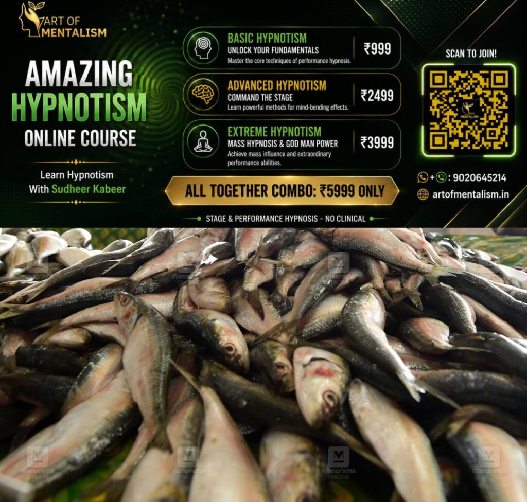 newskerala.net_1783734728_sardine-1