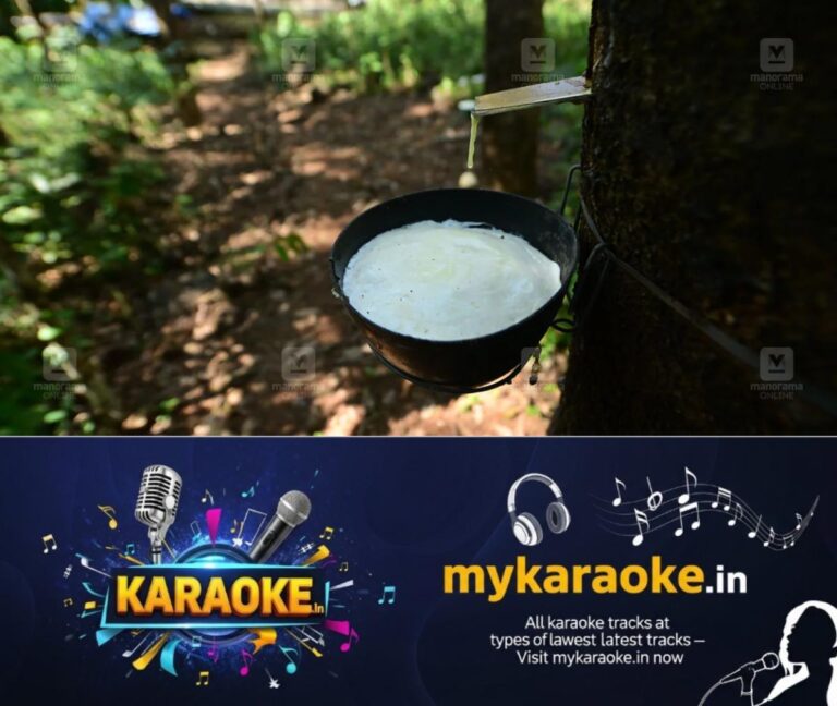 newskerala.net_1783823409_rubber-tapping-1