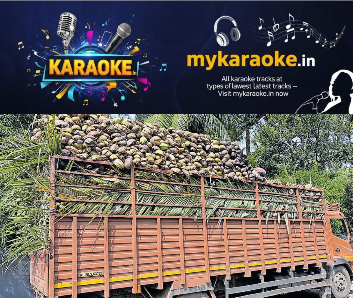 newskerala.net_1783910948_coir-husk-1