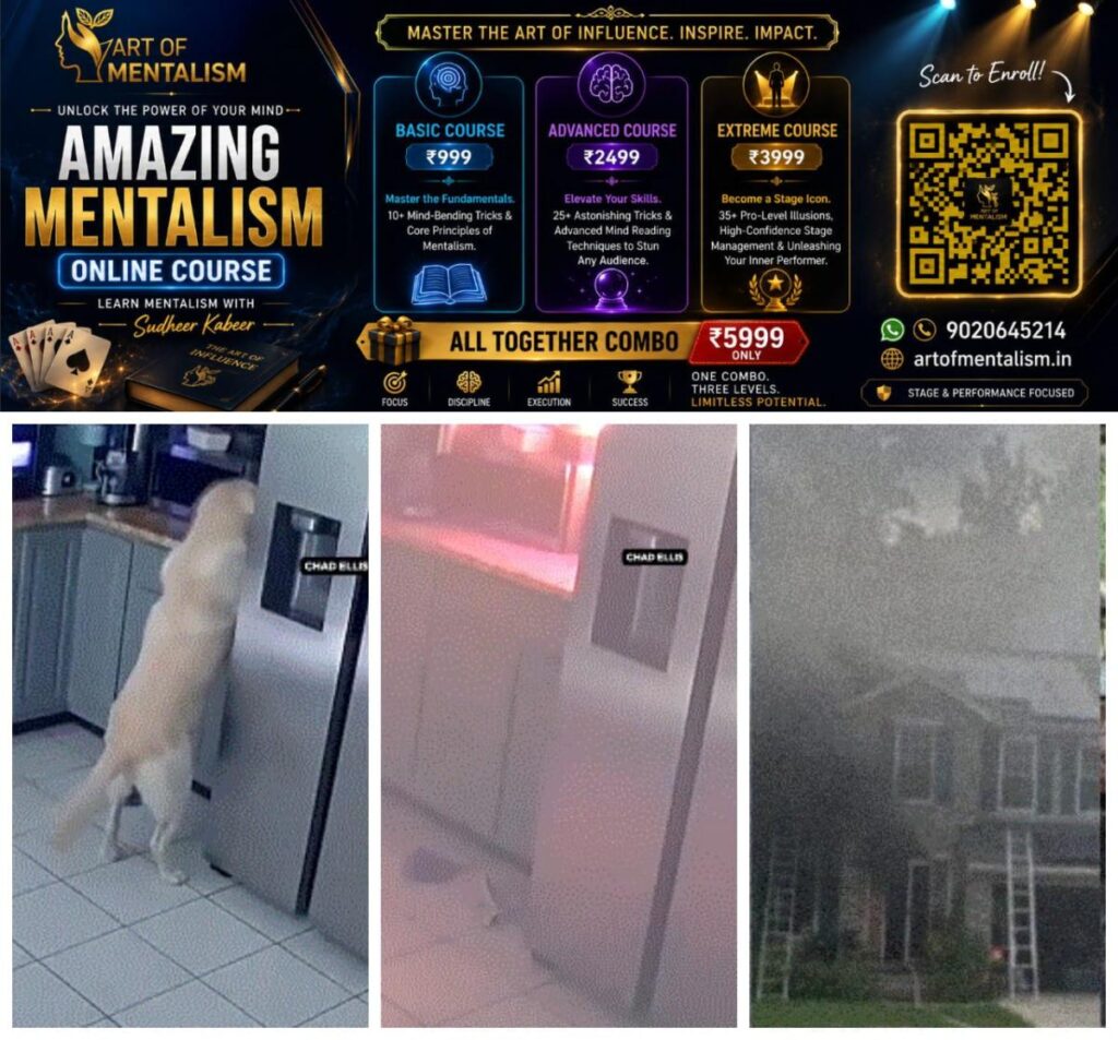 newskerala.net_1784222886_w-1280h-720format-jpgimgid-01kxnyavzh35b1074r33yxx4mpimgname-dog-accidentally-fire-home-17842216