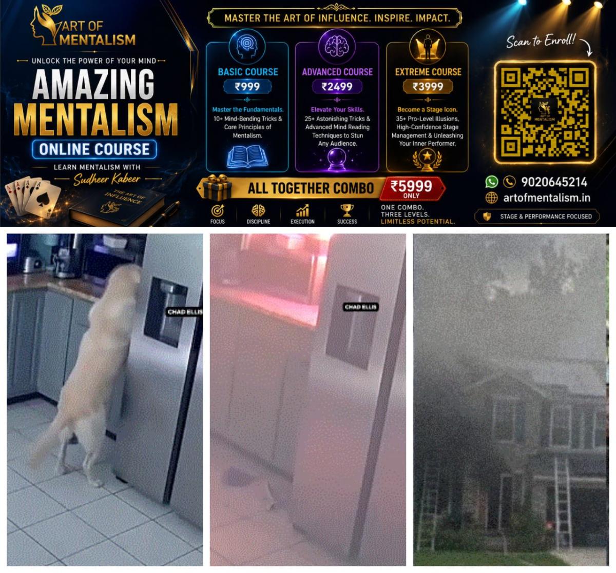newskerala.net_1784222886_w-1280h-720format-jpgimgid-01kxnyavzh35b1074r33yxx4mpimgname-dog-accidentally-fire-home-17842216