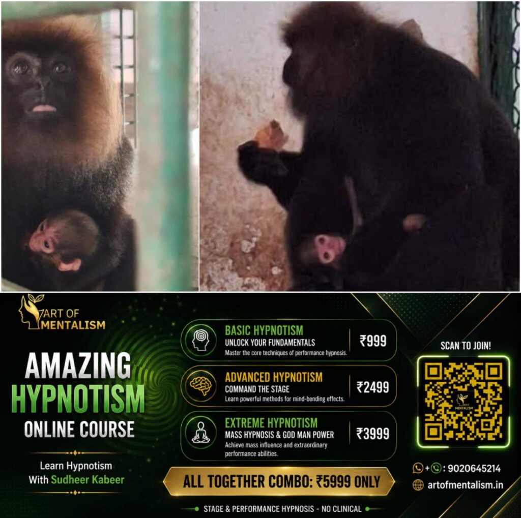 newskerala.net_1784236804_w-1280h-720format-jpgimgid-01kxpanv50jr6bs6kznrmb11k3imgname-thiruvananthapuram-zoo-nilgiri-lang