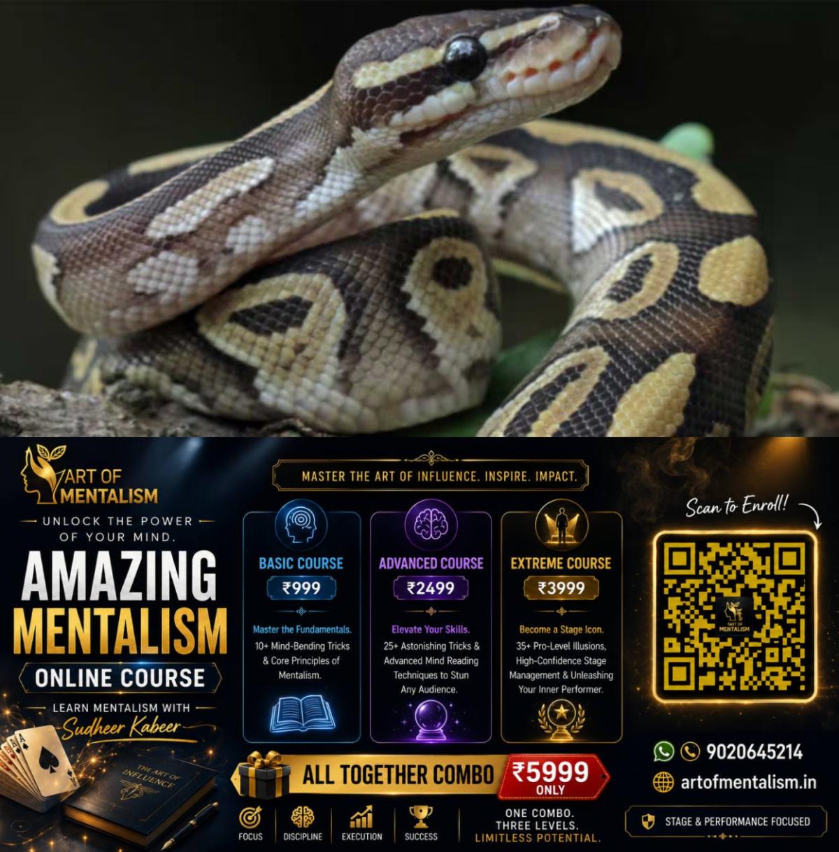 newskerala.net_1784440446_python-1