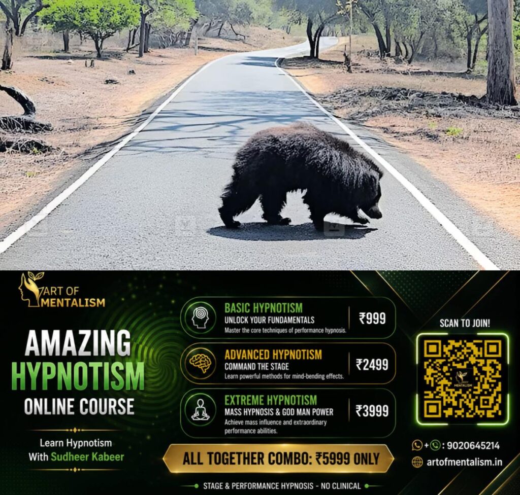 newskerala.net_1784530445_masinagudi-mayar-road-bear-1