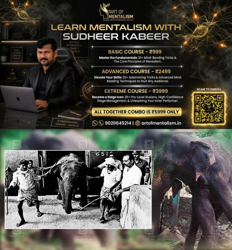 newskerala.net_1784628802_Elephant-Asiad-Appu