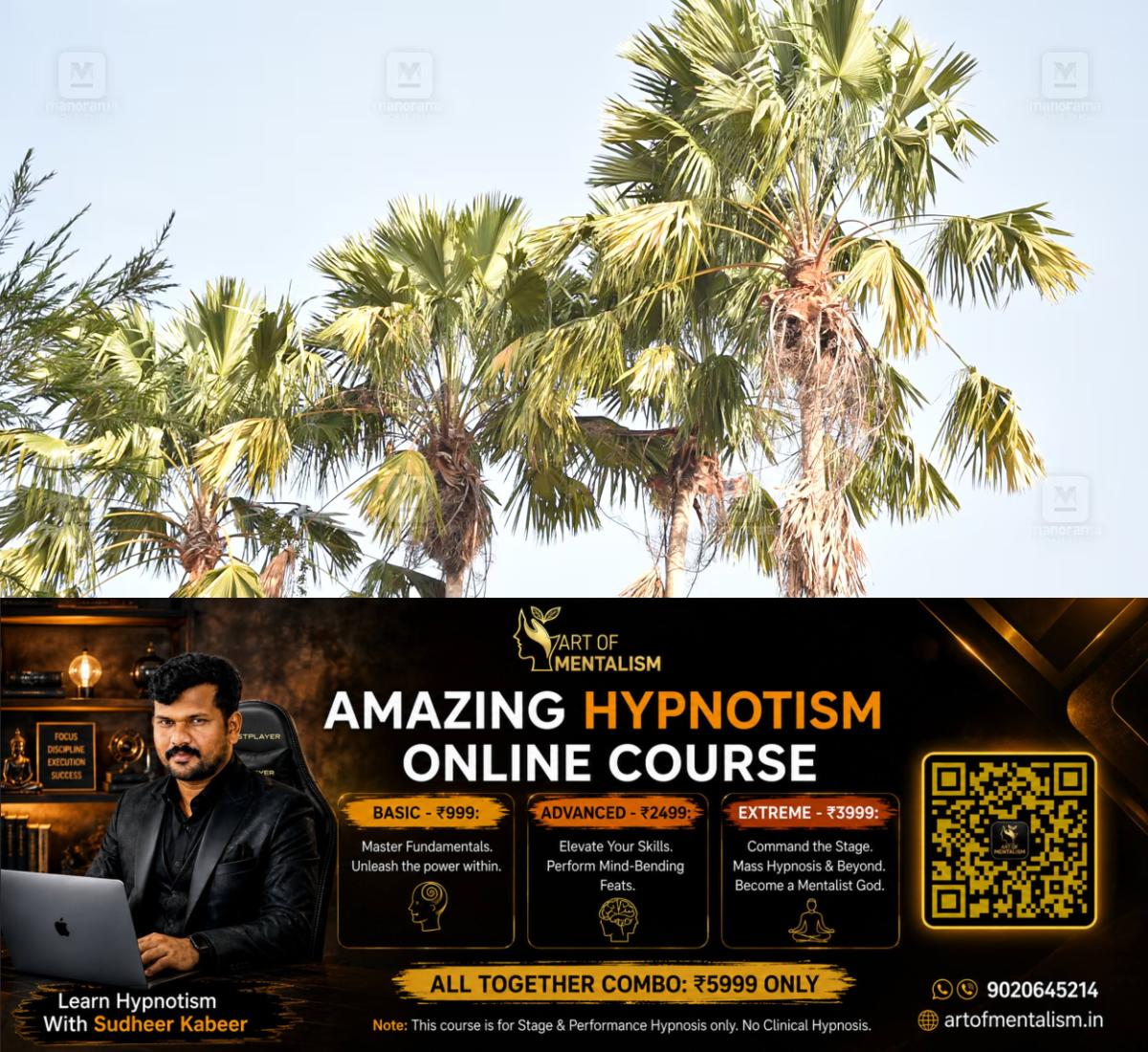 newskerala.net_1784799668_palm-tree-1