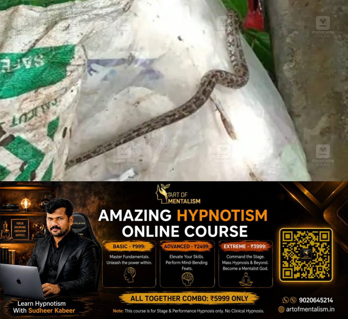 newskerala.net_1784825526_plastic-waste-snake-found-1