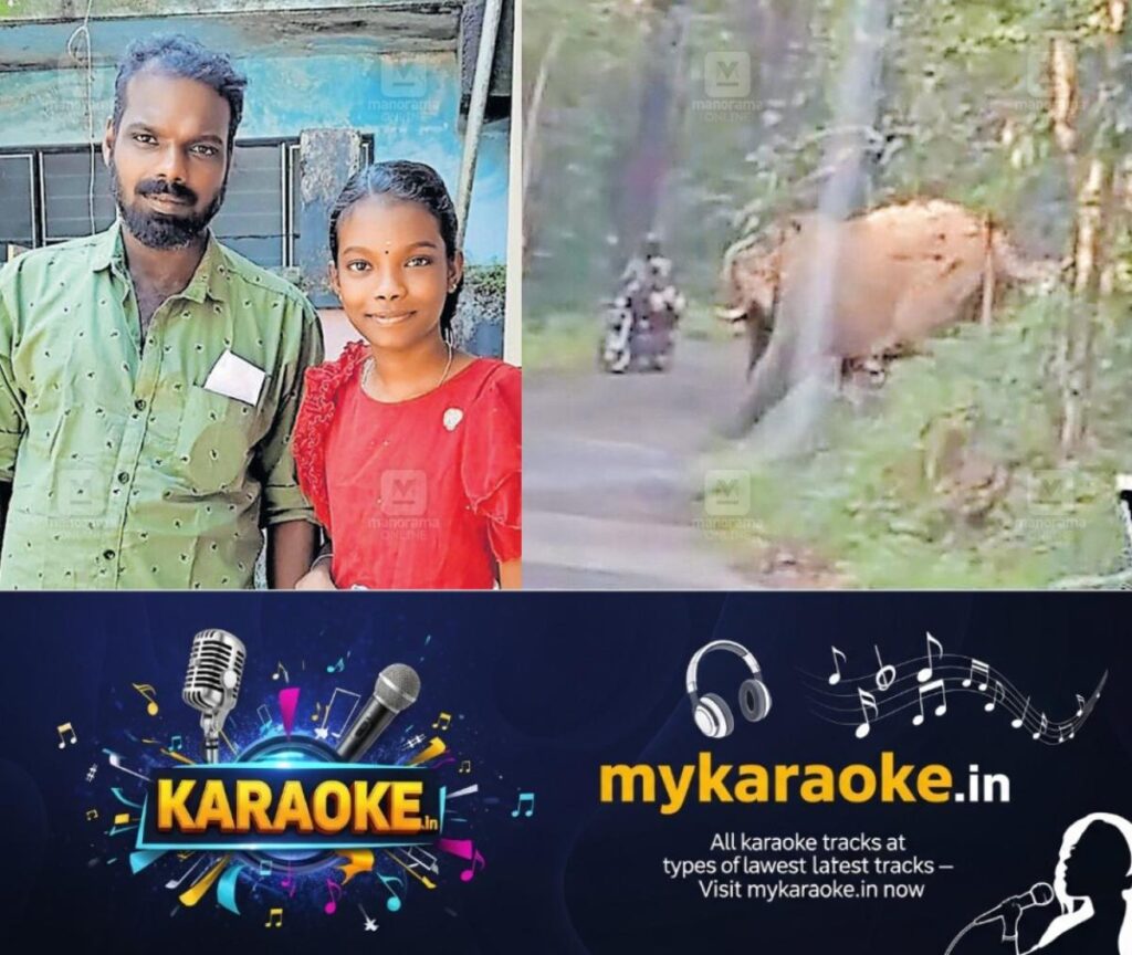newskerala.net_1785039246_wild-elephant-attack-vithura-1