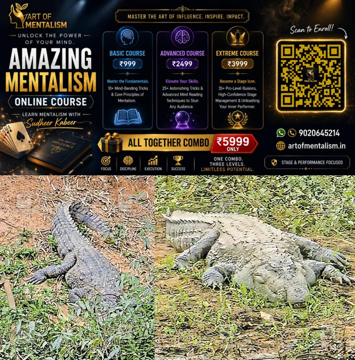 newskerala.net_1785056165_crocodiles-panamaram