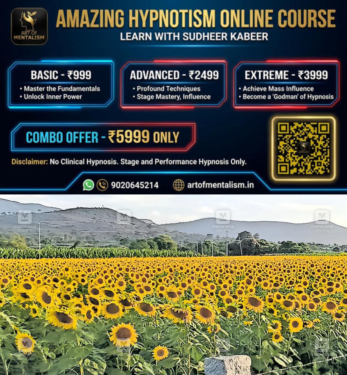 newskerala.net_1785131645_sunflower-farms-gundlupet-1