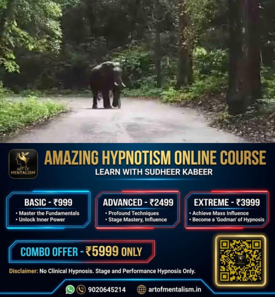 newskerala.net_1785231609_wild-elephant-issue