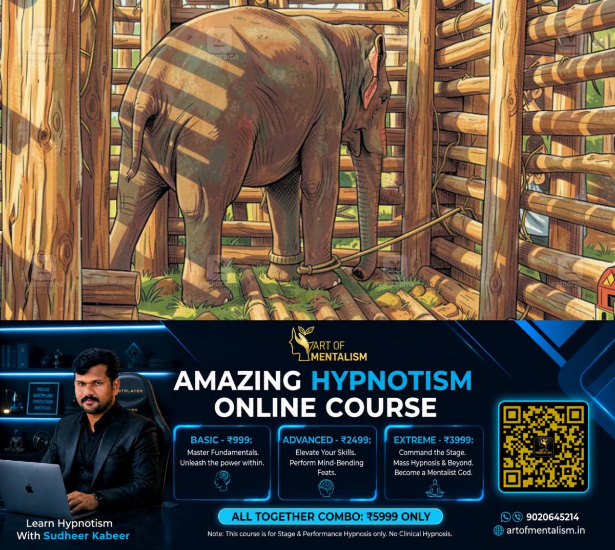 newskerala.net_1785300315_mission-makhna-elephant-capture-3