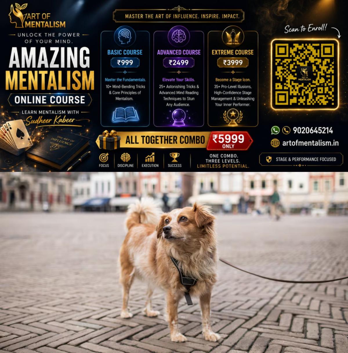 newskerala.net_1785400685_pet-dog