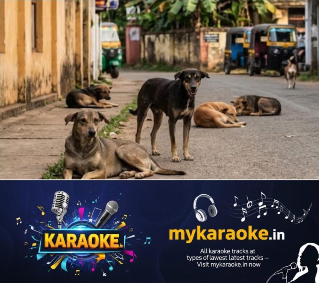 newskerala.net_1785430564_w-1280h-720format-jpgimgid-01kysxzcdp8bwysmb59dm0ced2imgname-stray-dog-attack-compensation-keral