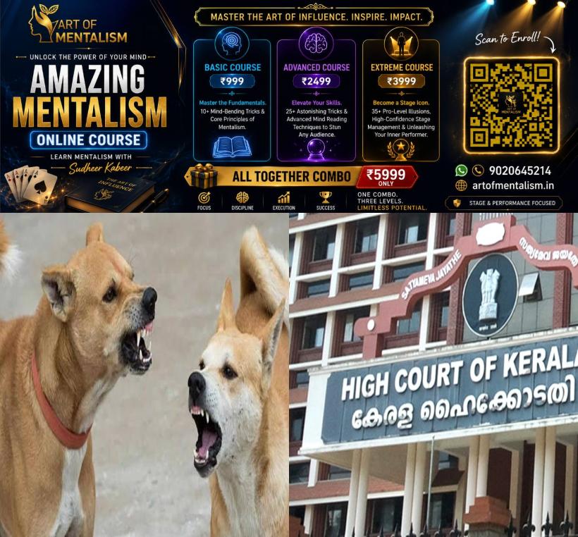 newskerala.net_1785440289_stray-dog