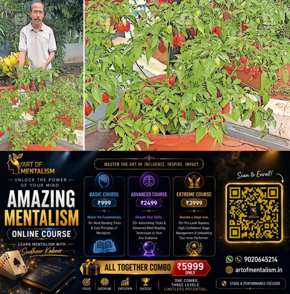 newskerala.net_1785465009_ghost-pepper-kerala-cultivation-1