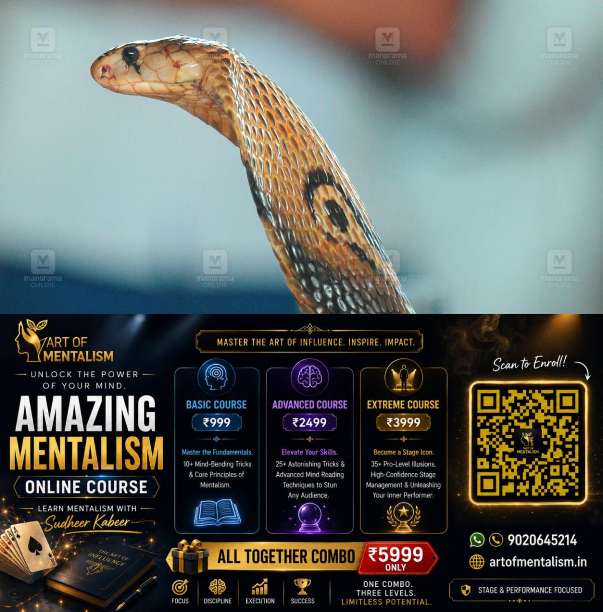 newskerala.net_1785465484_venomous-cobra-1