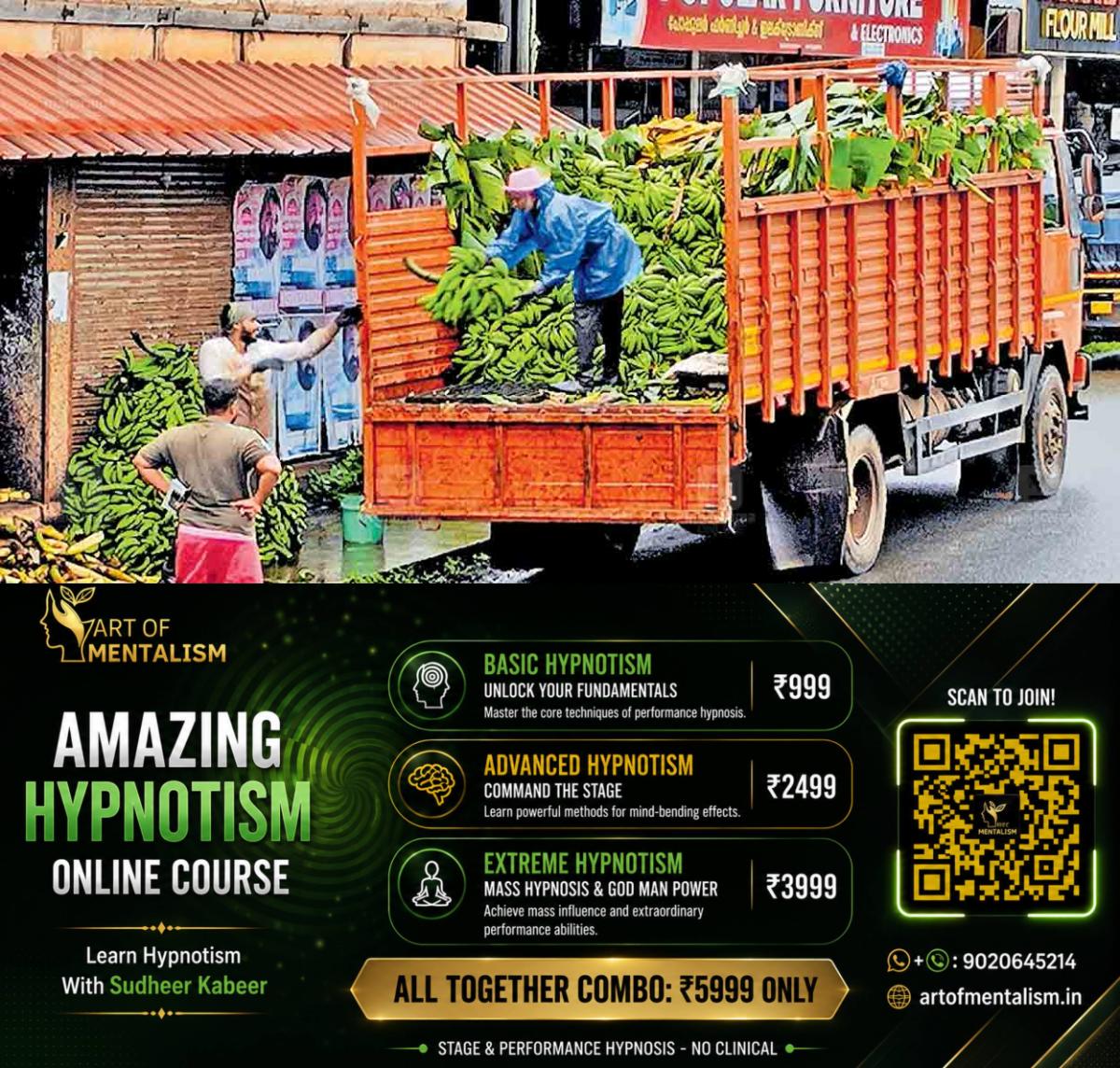 newskerala.net_1785471965_benana-farming