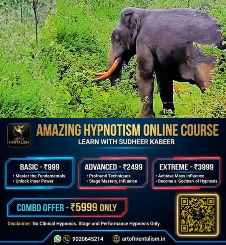 newskerala.net_1785479167_padayappa-elephant