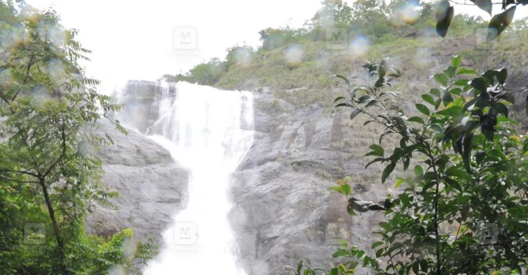 palaruvi-waterfall.jpg