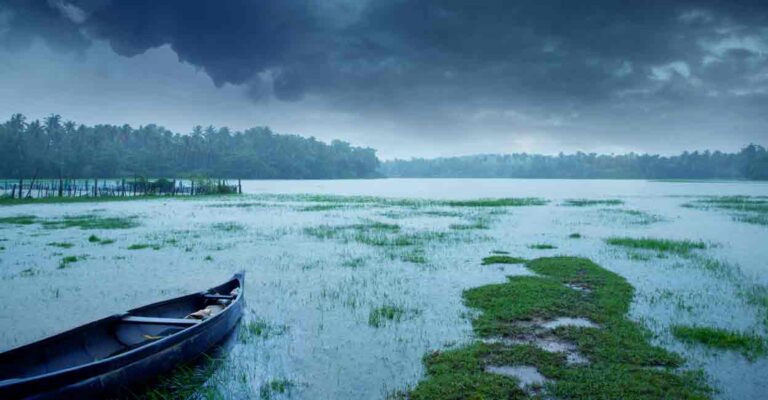 rain-in-kerala-thiruvathira-njattuvela.jpg