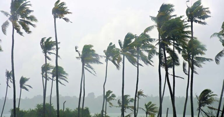 rain-kollam-rinku.jpg