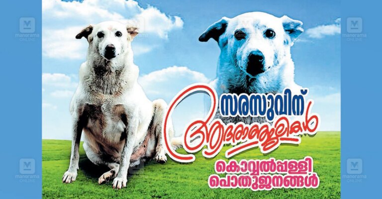 sarasu-street-dog-1.jpg