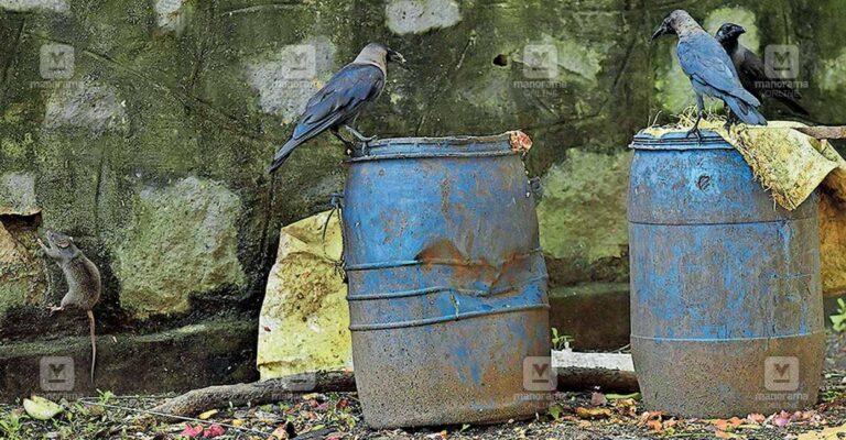 trivandrum-waste.jpg