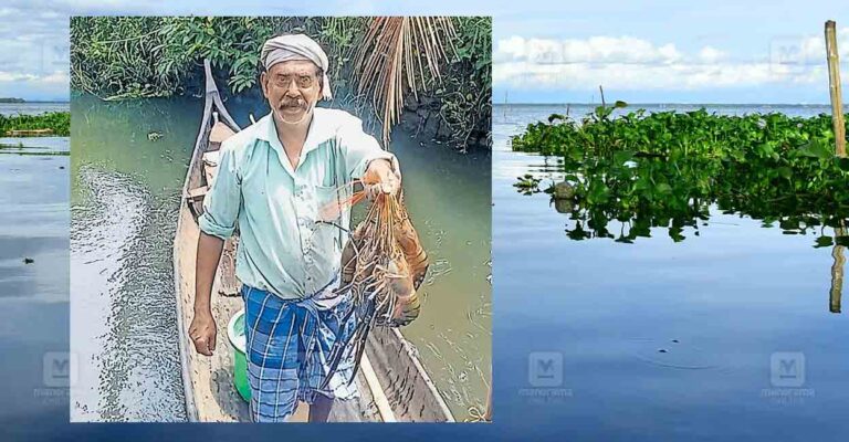 vembanad-lake-konju-fishing.jpg