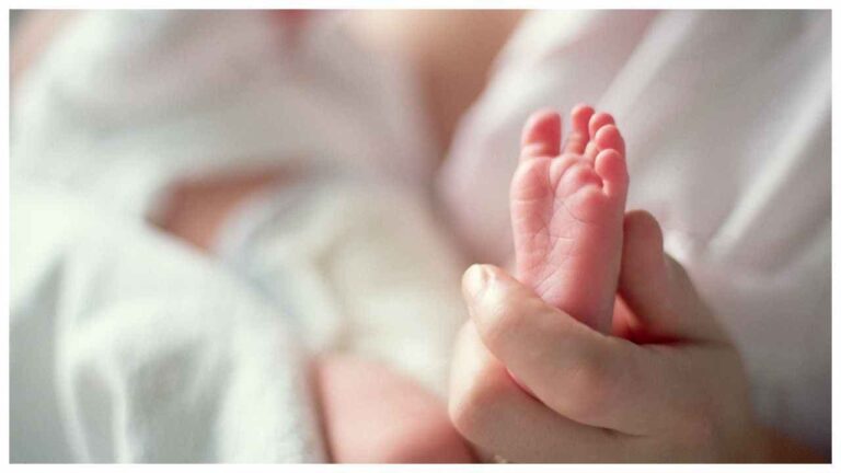 w-1280h-720format-jpgimgid-01kmabj41ygc77pkheg8pk1h82imgname-newborn-1774169165886.jpg