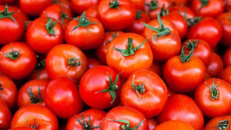 w-1280h-720format-jpgimgid-01kq4r1qab6f1s9qexz94v2b6wimgname-tomatoes-1296x728-feature-177720215.jpeg