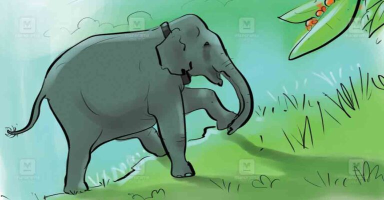 wild-elephant-sketch-1.jpg