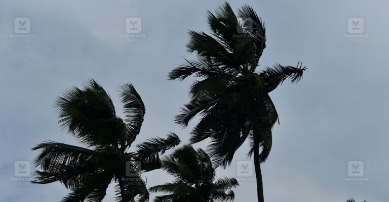 1787577372_wind.jpg