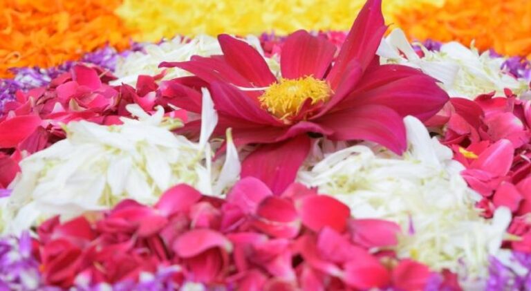 Onam.jpg
